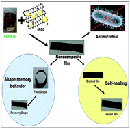 Graphical abstract: Self-healable castor oil based tough smart hyperbranched polyurethane nanocomposite with antimicrobial attributes
