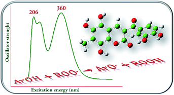 Graphical abstract: Antioxidant properties of several coumarin–chalcone hybrids from theoretical insights