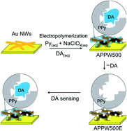 Graphical abstract: Fabrication of gold/polypyrrole core/shell nanowires on a flexible substrate for molecular imprinted electrochemical sensors