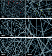 Graphical abstract: Atom efficient thermal and photocuring combined treatments for the synthesis of novel eco-friendly grid-like zein nanofibres