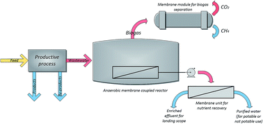 Graphical abstract: Membrane applications for biogas production and purification processes: an overview on a smart alternative for process intensification