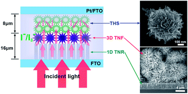 Graphical abstract: Bilayered photoanode from rutile TiO2 nanorods and hierarchical anatase TiO2 hollow spheres: a candidate for enhanced efficiency dye sensitized solar cells