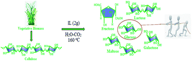 Graphical abstract: 1,1,3,3-Tetramethylguanidinium hydrogen sulphate (TMG·HSO4) ionic liquid in carbon dioxide enriched water: a highly efficient acidic catalytic system for the hydrolysis of cellulose