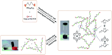 Graphical abstract: Stimuli-responsive hydrogels prepared by simultaneous “click chemistry” and metal–ligand coordination