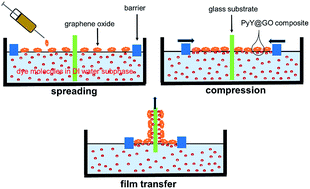 Graphical abstract: Fabrication of morphology controlled graphene oxide-dye composite films at the air–water interface