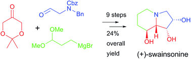 Graphical abstract: Total synthesis of (+)-swainsonine and (+)-8-epi-swainsonine