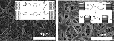 Graphical abstract: 3D chemically cross-linked single-walled carbon nanotube buckypapers