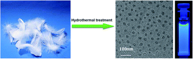 Graphical abstract: A facile microwave-hydrothermal approach towards highly photoluminescent carbon dots from goose feathers