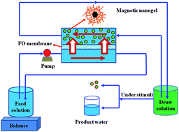 Graphical abstract: Magnetic thermoresponsive ionic nanogels as novel draw agents in forward osmosis