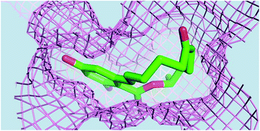 Graphical abstract: Crystal structure and substrate-binding mode of the mycoestrogen-detoxifying lactonase ZHD from Clonostachys rosea