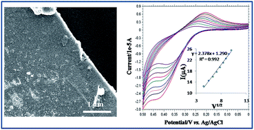 Graphical abstract: Fluid interface-mediated nanoparticle membrane as an electrochemical sensor