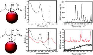 Graphical abstract: Unraveling the nature of Turkevich gold nanoparticles: the unexpected role of the dicarboxyketone species