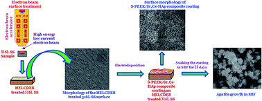 Graphical abstract: Retracted Article: Investigation of anticorrosive, antibacterial and in vitro biological properties of a sulphonated poly(etheretherketone)/strontium, cerium co-substituted hydroxyapatite composite coating developed on surface treated surgical grade stainless steel for orthopedic applications