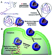 Graphical abstract: Reversibly cross-linked poly(ethylene glycol)–poly(amino acid)s copolymer micelles: a promising approach to overcome the extracellular stability versus intracellular drug release challenge