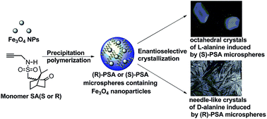 Graphical abstract: Optically active helical polyacetylene/Fe3O4 composite microspheres: prepared by precipitation polymerization and used for enantioselective crystallization