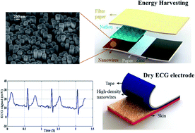 Graphical abstract: A high-density nanowire electrode on paper for biomedical applications