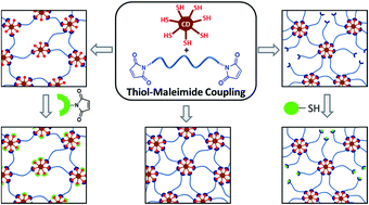 Graphical abstract: Cyclodextrin mediated polymer coupling via thiol–maleimide conjugation: facile access to functionalizable hydrogels