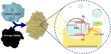 Graphical abstract: Efficient degradation of organic pollutants with a sewage sludge support and in situ doped TiO2 under visible light irradiation conditions