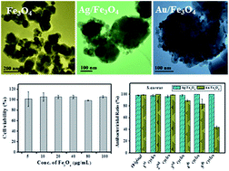 Graphical abstract: HEPES-involved hydrothermal synthesis of Fe3O4 nanoparticles and their biological application