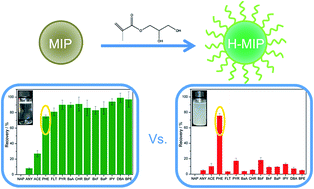 Graphical abstract: Hydrophilic molecularly imprinted polymers for selective recognition of polycyclic aromatic hydrocarbons in aqueous media