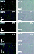 Graphical abstract: Ion-beam-irradiated solution-derived tin oxide films for liquid crystal orientation