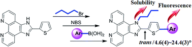 Graphical abstract: Simultaneous enhancement of fluorescence and solubility by N-alkylation and functionalization of 2-(2-thienyl)imidazo[4,5-f][1,10]-phenanthroline with heterocyclic bridges