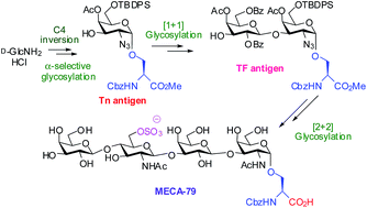 Graphical abstract: Total synthesis of MECA-79
