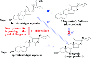 Graphical abstract: Conversion of furostanol saponins into spirostanol saponins improves the yield of diosgenin from Dioscorea zingiberensis by acid hydrolysis