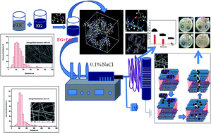 Graphical abstract: Polyacrylonitrile/Syzygium aromaticum hierarchical hydrophilic nanocomposite as a carrier for antibacterial drug delivery systems