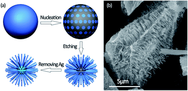 Graphical abstract: Hedgehog-like polycrystalline Si as anode material for high performance Li-ion battery