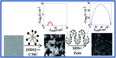 Graphical abstract: Protein–surfactant aggregate as a potential corrosion inhibitor for mild steel in sulphuric acid: zein–SDS system