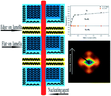 Graphical abstract: Critical formation conditions for β-form hybrid shish-kebab and its structural analysis