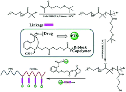 Graphical abstract: Polymer–paclitaxel conjugates based on disulfide linkers for controlled drug release