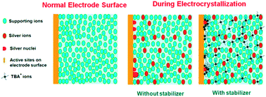 Graphical abstract: A mechanistic study on the effect of a surface protecting agent on electrocrystallization of silver nanoparticles