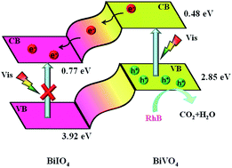 Graphical abstract: Novel BiIO4/BiVO4 composite photocatalyst with highly improved visible-light-induced photocatalytic performance for rhodamine B degradation and photocurrent generation