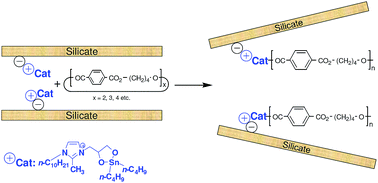 Graphical abstract: A novel tin-based imidazolium-modified montmorillonite catalyst for the preparation of poly(butylene terephthalate)-based nanocomposites using in situ entropically-driven ring-opening polymerization