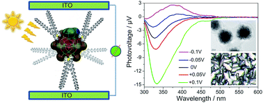 Graphical abstract: Photosensitive polyoxometalate-induced formation of thermotropic liquid crystal nanomaterial and its photovoltaic effect