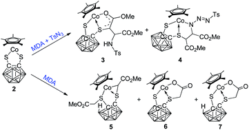 Graphical abstract: Investigation into the reactivity of 16-electron complexes Cp#Co(S2C2B10H10) (Cp# = Cp, Cp*) towards methyl diazoacetate and toluenesulphonyl azide