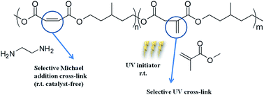 Graphical abstract: Facile synthesis of unsaturated polyester-based double-network gels via chemoselective cross-linking using Michael addition and subsequent UV-initiated radical polymerization