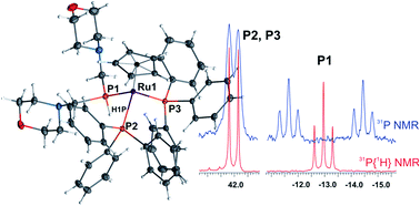 Graphical abstract: Unexpected formation of [Ru(η5-C5H5)(PH{CH2N(CH2CH2)2O}2)(PPh3)2]BF4 – the first “piano-stool” ruthenium complex bearing a secondary aminomethylphosphane ligand