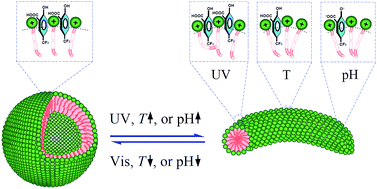 Graphical abstract: Thermal, light and pH triple stimulated changes in self-assembly of a novel small molecular weight amphiphile binary system