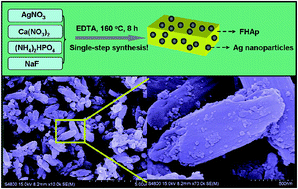 Graphical abstract: Controllable synthesis of fluorapatite microcrystals decorated with silver nanoparticles and their optical properties