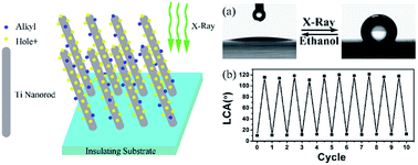 Graphical abstract: X-ray irradiation-induced reversible wettability modification of titanium NRAs