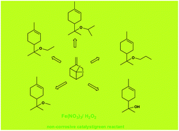 Graphical abstract: Fe(iii)-catalyzed α-terpinyl derivatives synthesis from β-pinene via reactions with hydrogen peroxide in alcoholic solutions