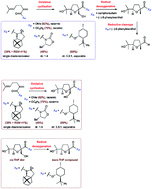 Graphical abstract: Stereoselective synthesis of trans-THF rings using an oxidative cyclisation-radical deoxygenation sequence: application to the formal synthesis of trans-(2R,5R)-linalool oxide