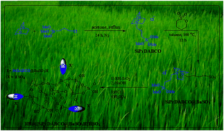 Graphical abstract: Nano Brönsted solid acid containing double-charged diazoniabi-cyclo[2.2.2]octane chloride supported on nano rice husk silica: an efficient catalyst for the one-pot synthesis of phthalazine compounds