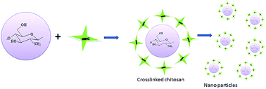 Graphical abstract: Synthesis of dimethyl carbonate (DMC) based biodegradable nitrogen mustard ionic carbonate (NMIC) nanoparticles