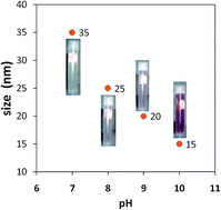 Graphical abstract: Observation of weak localization of light in gold nanofluids synthesized using the marine derived fungus Aspergillus niger