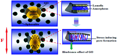 Graphical abstract: Greatly enhanced porosity of stretched polypropylene/graphene oxide composite membrane achieved by adding pore-forming agent