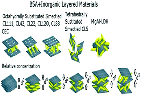 Graphical abstract: Protein-concentration-dependent adsorption behaviour of inorganic layered materials